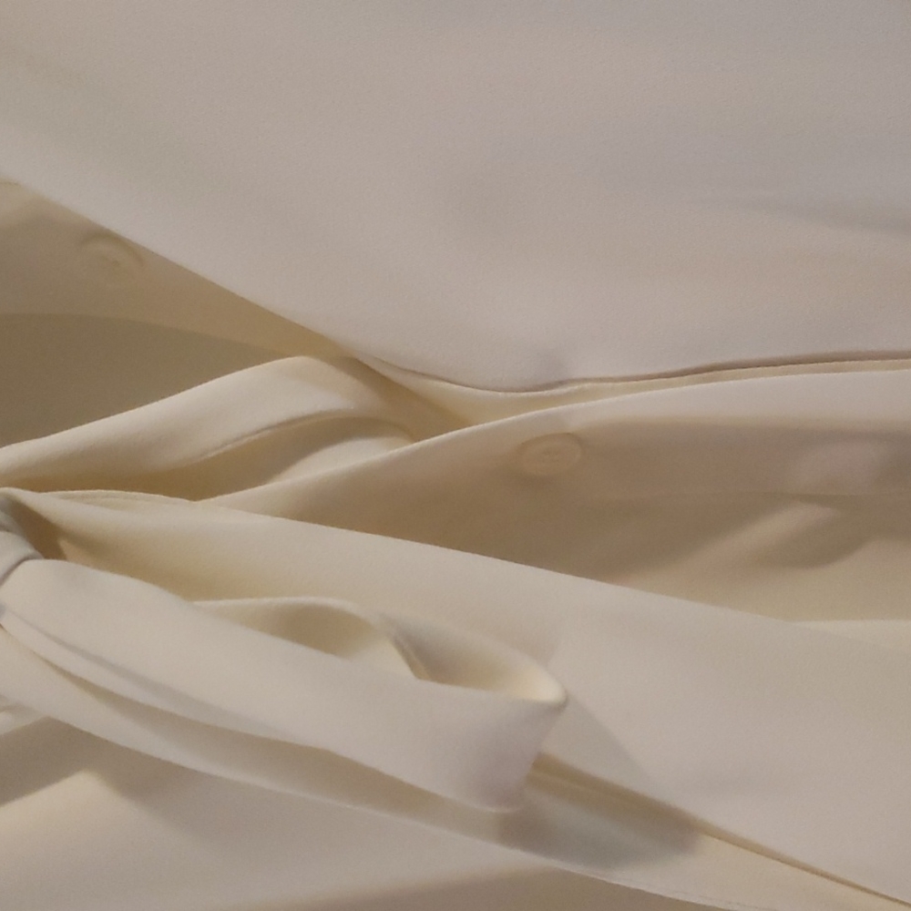 Size 2 Button Down Blouse - image 3